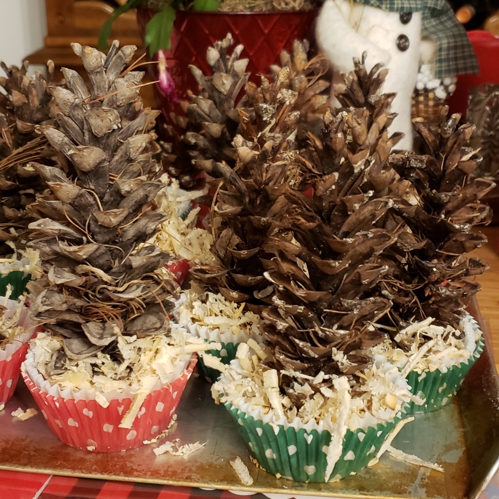 Festive Firestarters - Picture 4 of 4